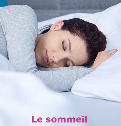 Le sommeil